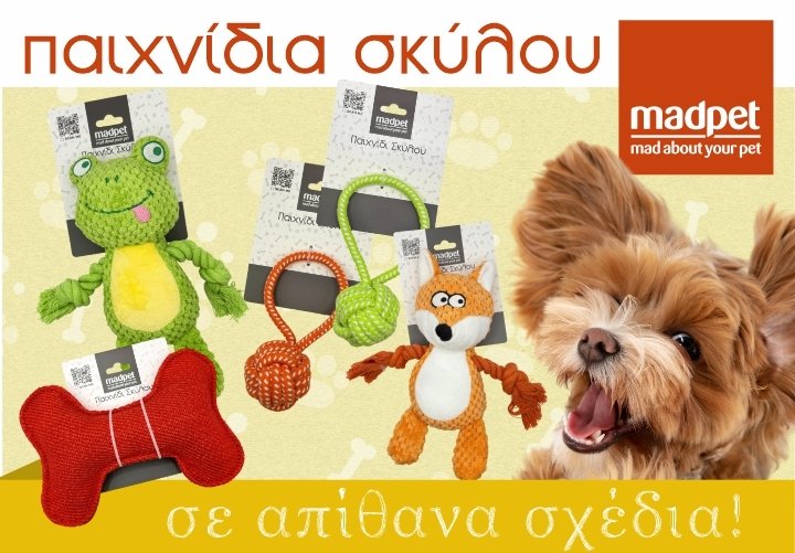 Καινούρια παιχνίδια MADPET